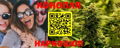метадон Новоалтайск