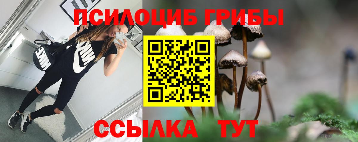 купить  цена  Вход с VPN  Нижний Тагил  Псилоцибиновые грибы Magic Shrooms 